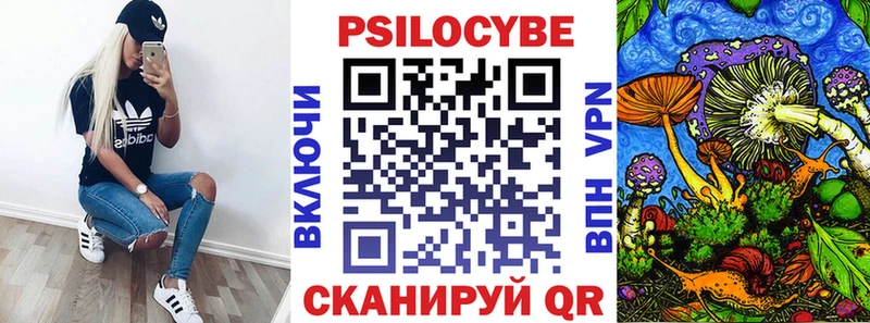 магазин  наркотиков  Магадан  Псилоцибиновые грибы прущие грибы 